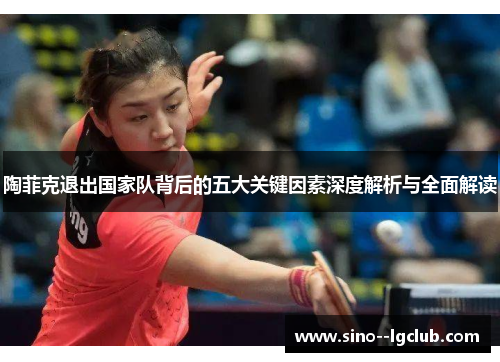 陶菲克退出国家队背后的五大关键因素深度解析与全面解读