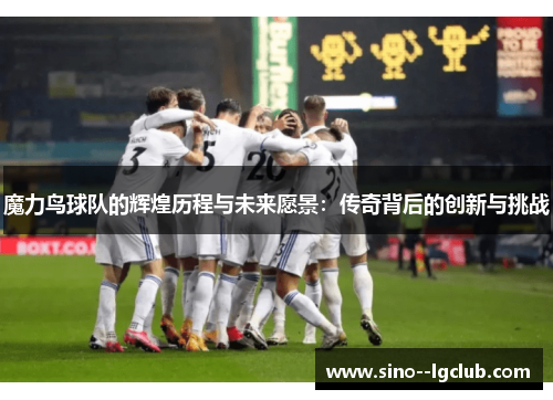 魔力鸟球队的辉煌历程与未来愿景：传奇背后的创新与挑战