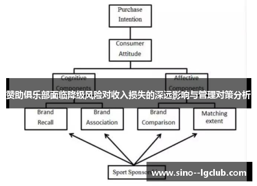 赞助俱乐部面临降级风险对收入损失的深远影响与管理对策分析