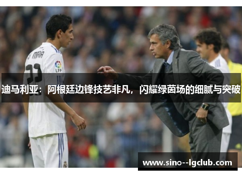 迪马利亚:阿根廷边锋技艺非凡,闪耀绿茵场的细腻与突破 迪马利亚:阿根廷边锋技艺非凡,闪耀绿茵场的细腻与突破