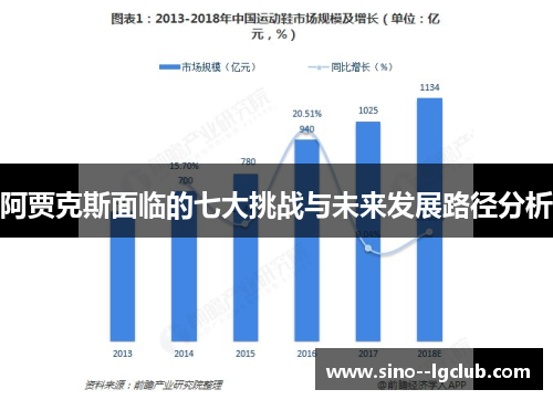 阿贾克斯面临的七大挑战与未来发展路径分析 阿贾克斯面临的七大挑战与未来发展路径分析