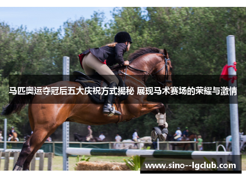 马匹奥运夺冠后五大庆祝方式揭秘 展现马术赛场的荣耀与激情